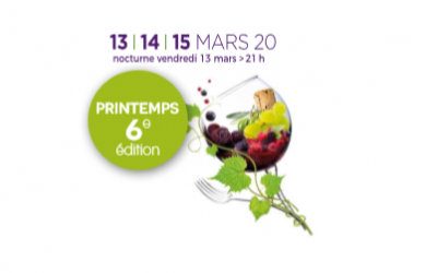 Salon Vins & Terroirs mars 2020 à Toulouse